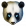 Avatar de panda-boss66