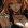 Avatar de Qwakito