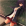 Avatar de MisterKoppzer