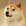 Avatar de LONE_WOLF_FUFU