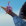 Avatar de BlueDark-N