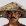 Avatar de BodsNb