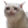 Avatar de Rasim9527