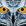 Avatar de Acrid_S7