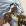 Avatar de Snoow_red